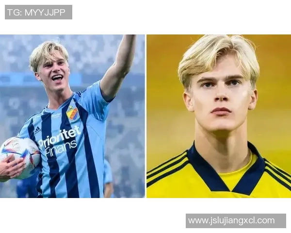 回顾1995年瑞典足球明星的辉煌历程与成就分析
