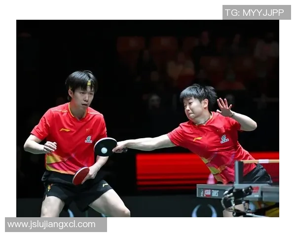 成都排球队以77分领跑精英赛积分榜展现强劲实力